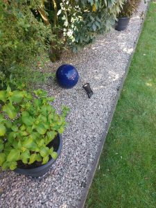 354044483_1627915527620912_8620770005084326811_n