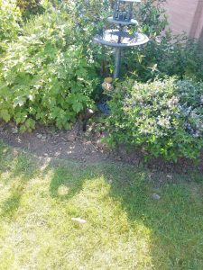 354242163_1627915574287574_2717558646393491249_n